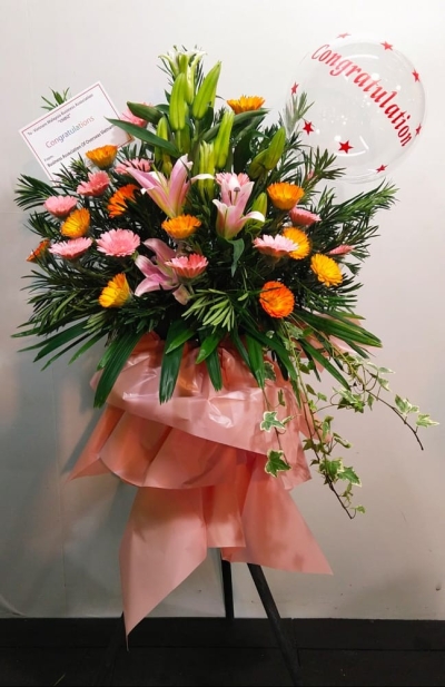 Congratulations Arrangement CA237 floristkl