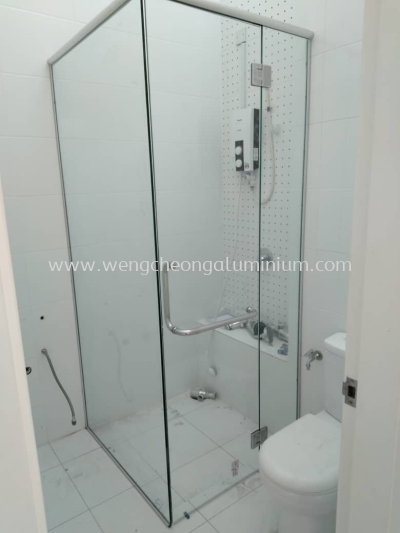 Shower Screen Swing Door