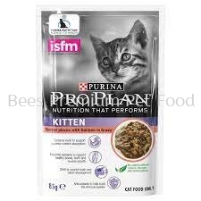 Purina proplan kitten salmon in gravy