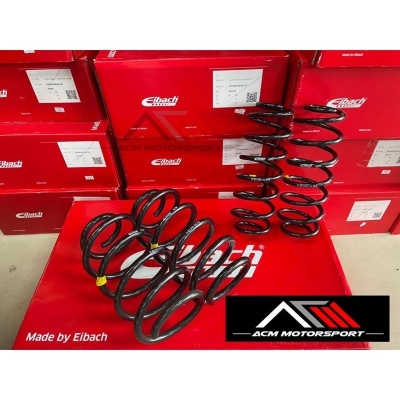 BMW X6 EIBACH LOWER SPRING PROKIT(With self-levelling)