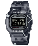 DW-5000SS-1D