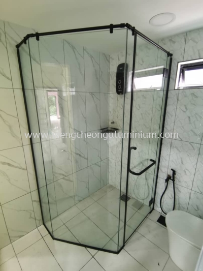 Shower Screen Swing Door