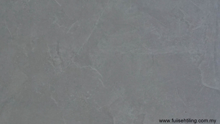 Ceramic Tile : FS3611A