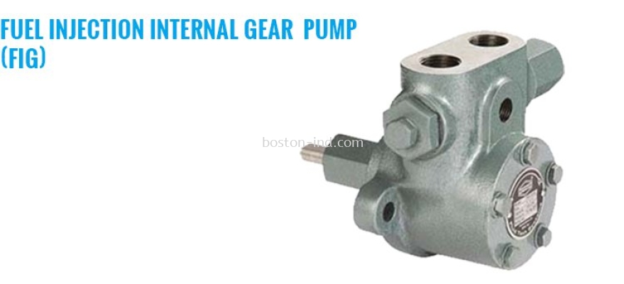 Rotofluid FIG Fuel Injection Internal Gear Pump FIG-S60 / FIG-S90 / FIG-S120 / FIG-A150 / FIG-A300 / FIG-A450 / FIG-A600 / FIG-B1000 / FIG-B1500 / FIG-B2000 / FIG-B2500 / FIG-C3000 / FIG-C4500 / FIG-C6000