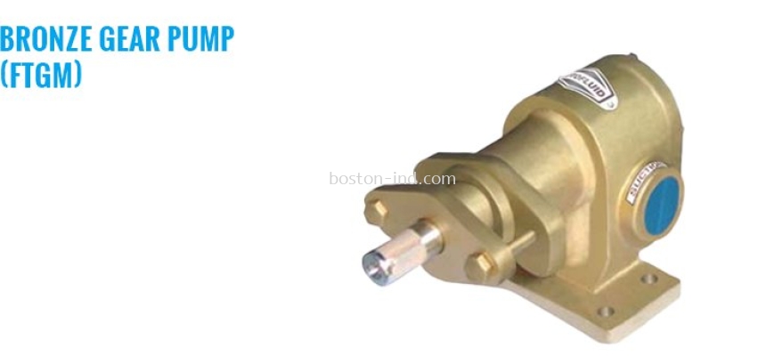 Rotofluid FTGM Bronze Gear Pump