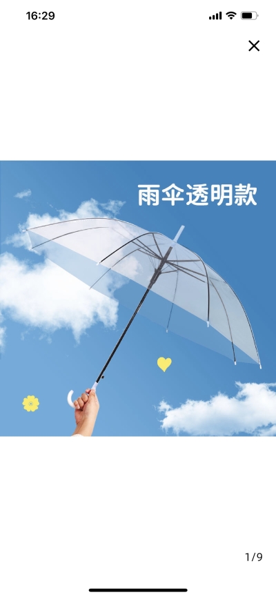 Transparent Umbrella 