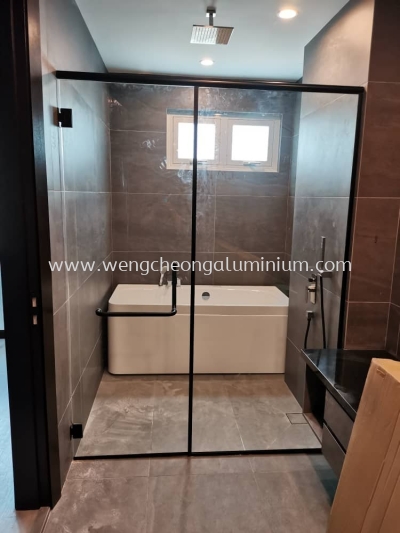 Shower Screen Swing Door