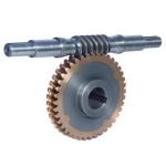 Worm gear