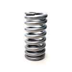 Compression spring