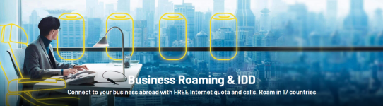 Business Roaming & IDD