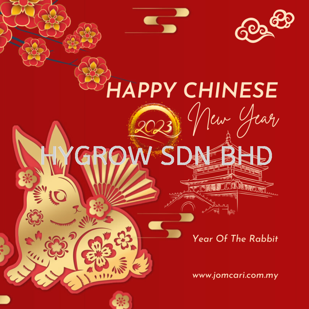 Chinese New Year Shutdown