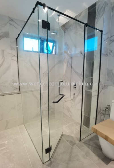 Shower Screen Swing Door