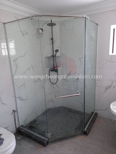 Shower Screen Swing Door