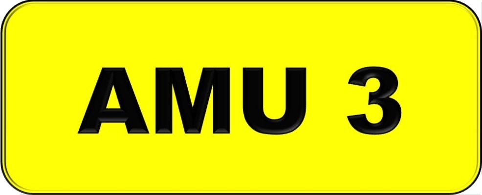 AMU3