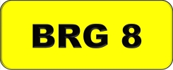 BRG8 All Plate