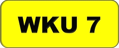 WKU7 All Plate