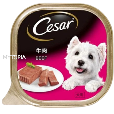 CESAR BEEF 100G