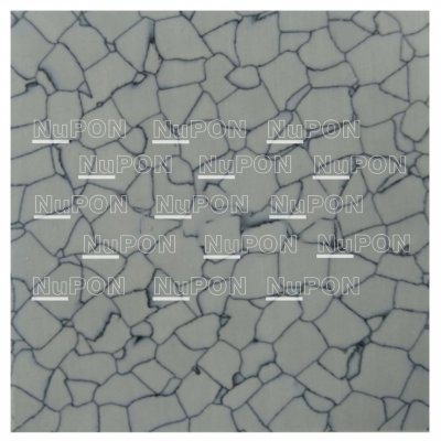 ESD PVC Tiles NS-6606