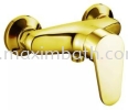 IT-W8716H6-025/G Exposed Shower Mixer Shower Mixer Bathroom Collection