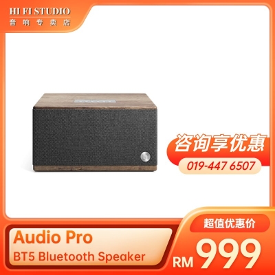 AUDIO PRO BT5