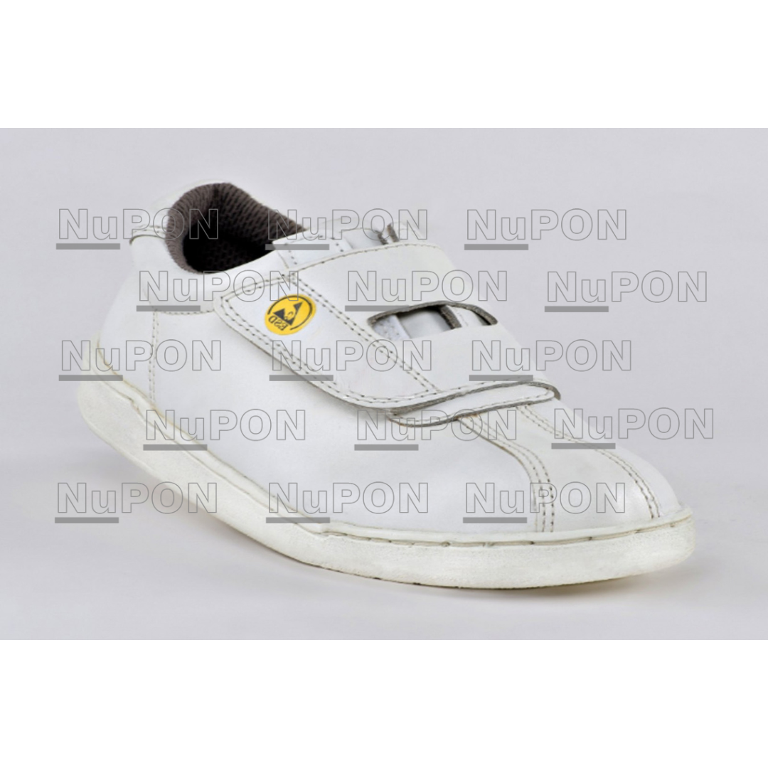 ASS1241 Antistatic Safety Shoes