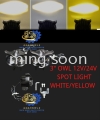 3''OWL 12V/24V SPORT LIGHT WHITE/ YELLOW LORRY SPOT LIGHT