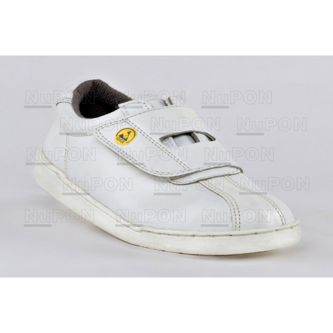 ASS1241 Antistatic Safety Shoes