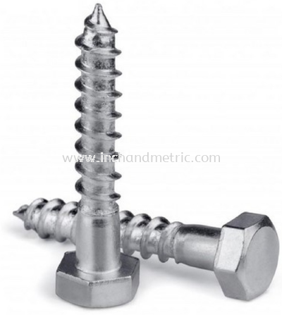 S/S 304 DIN 571 Hex Coach Screw