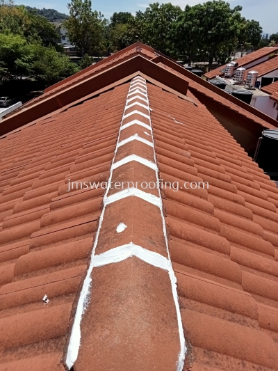 REPAIR ROOF LEAKING