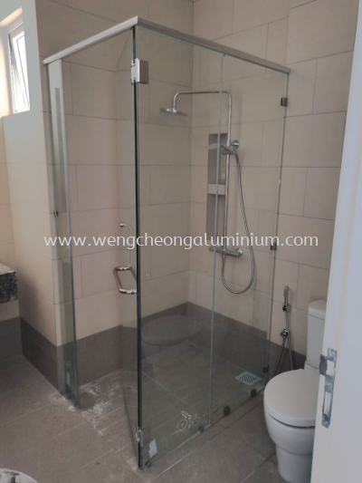 Shower Screen Swing Door