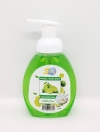 SC Bubble Hand Wash Nourishing Lime ±315g Personal Care