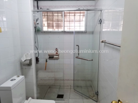 Shower Screen Swing Door