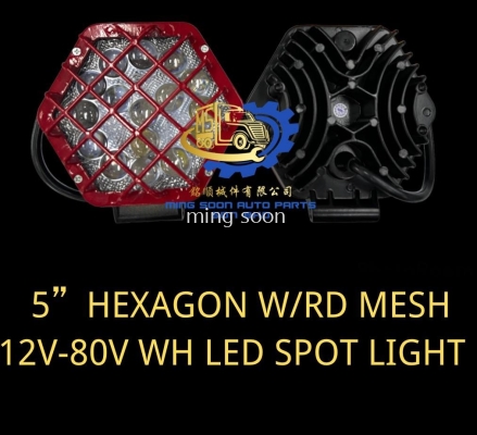 5'' HEXAGON W/RD MESH 12V-80V WH LED SPOT LIGHT