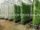 customise commercial use system  Hydroponics