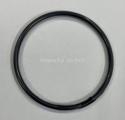 Encapsulated AS227 Viton O-ring