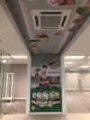 Wall Sticker Wall Sticker and Wall Poster Printing