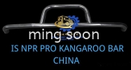 IS NPR PRO KANGAROO BAR CHINA Kangaroon bar lorries