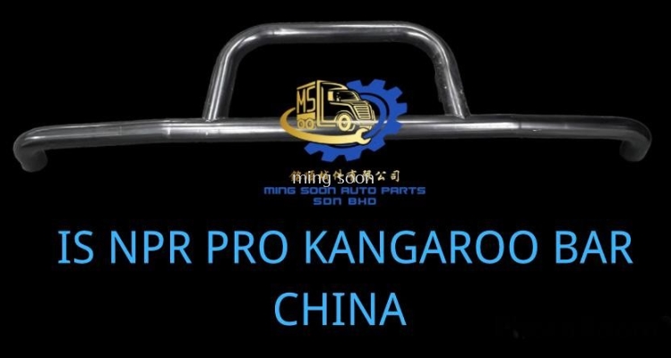 IS NPR PRO KANGAROO BAR CHINA