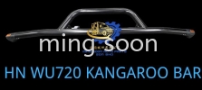 HN WU720 KANGAROO BAR  Kangaroon bar lorries