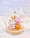  Glass Cloche Preserved Flower