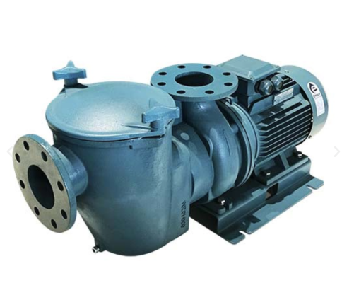 SE Series Commercial Iron Pump