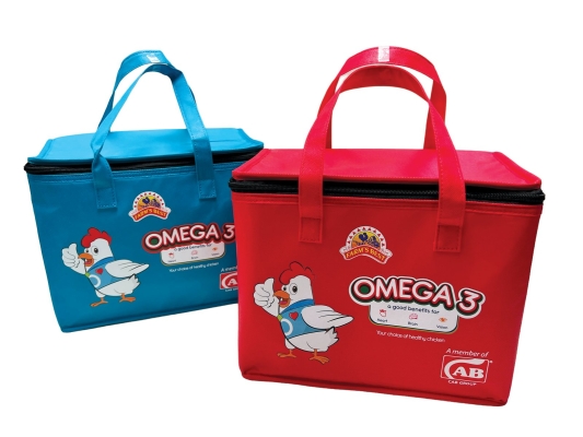 B0645 Cooler Bag