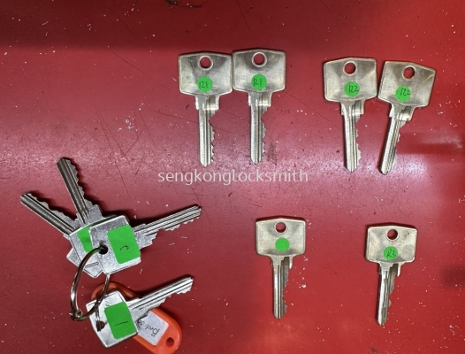 main door lock keys 