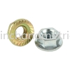 Hexagon Flange Nut Hexagon Nuts