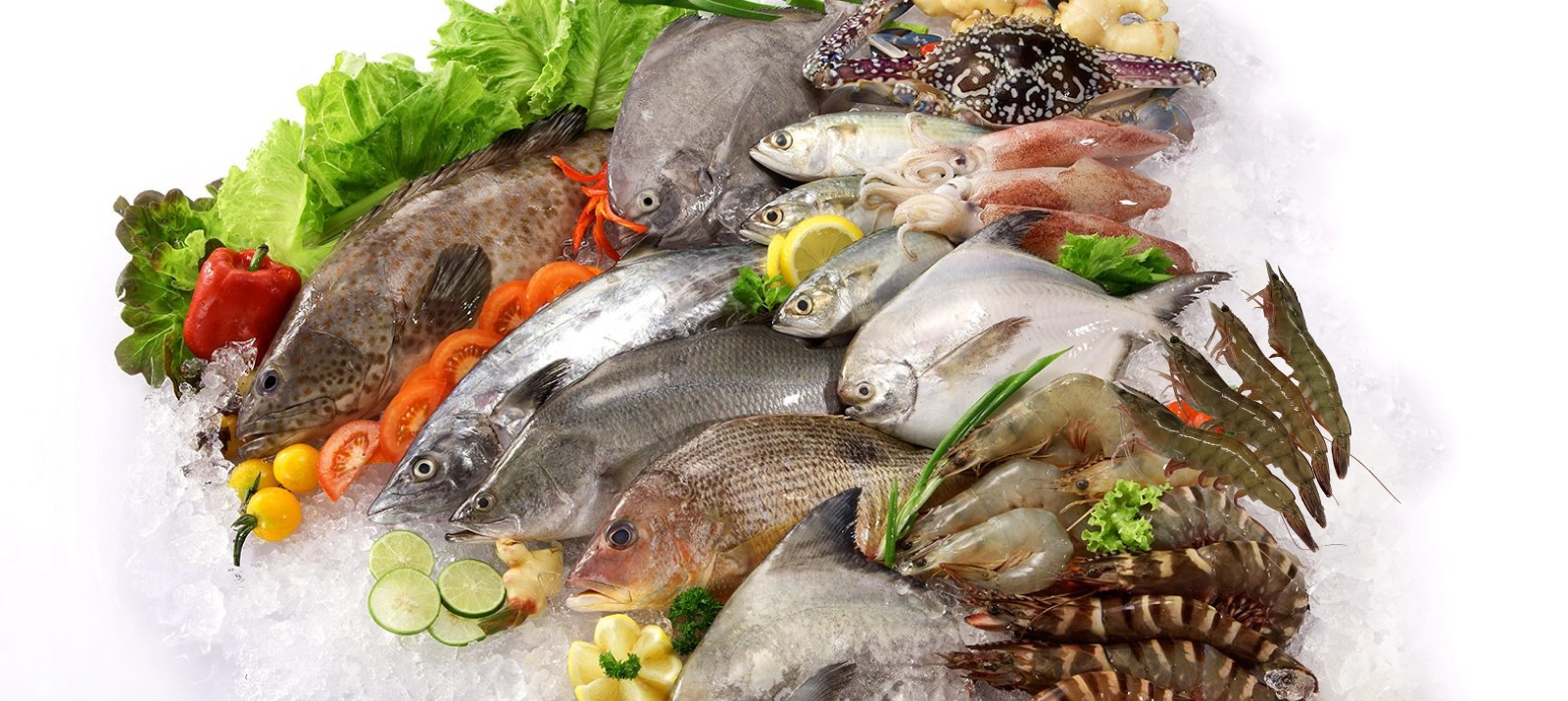Frozen Seafood Processing KL, Halal Seafood Supplier Selangor, Steamboat  Ingredients Supply Malaysia ~ HAI KEE HUNG SDN BHD