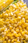 Frozen Sweet Corn Kernel (1kg x 10pkt/ctn) Vegetarian Products