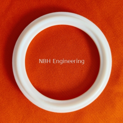 PTFE ferrule gasket