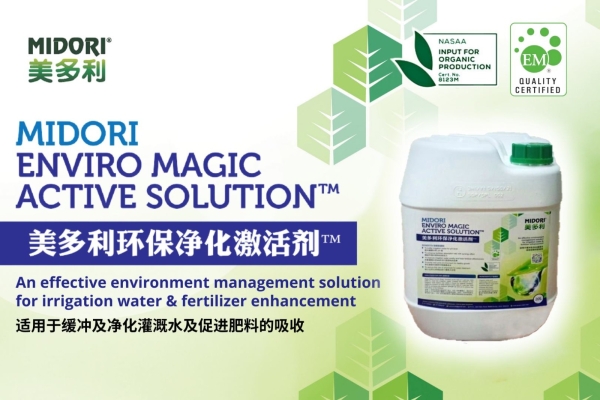 MIDORI Enviro Magic Active Solution