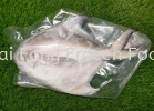 White Pomfret Frozen Fish