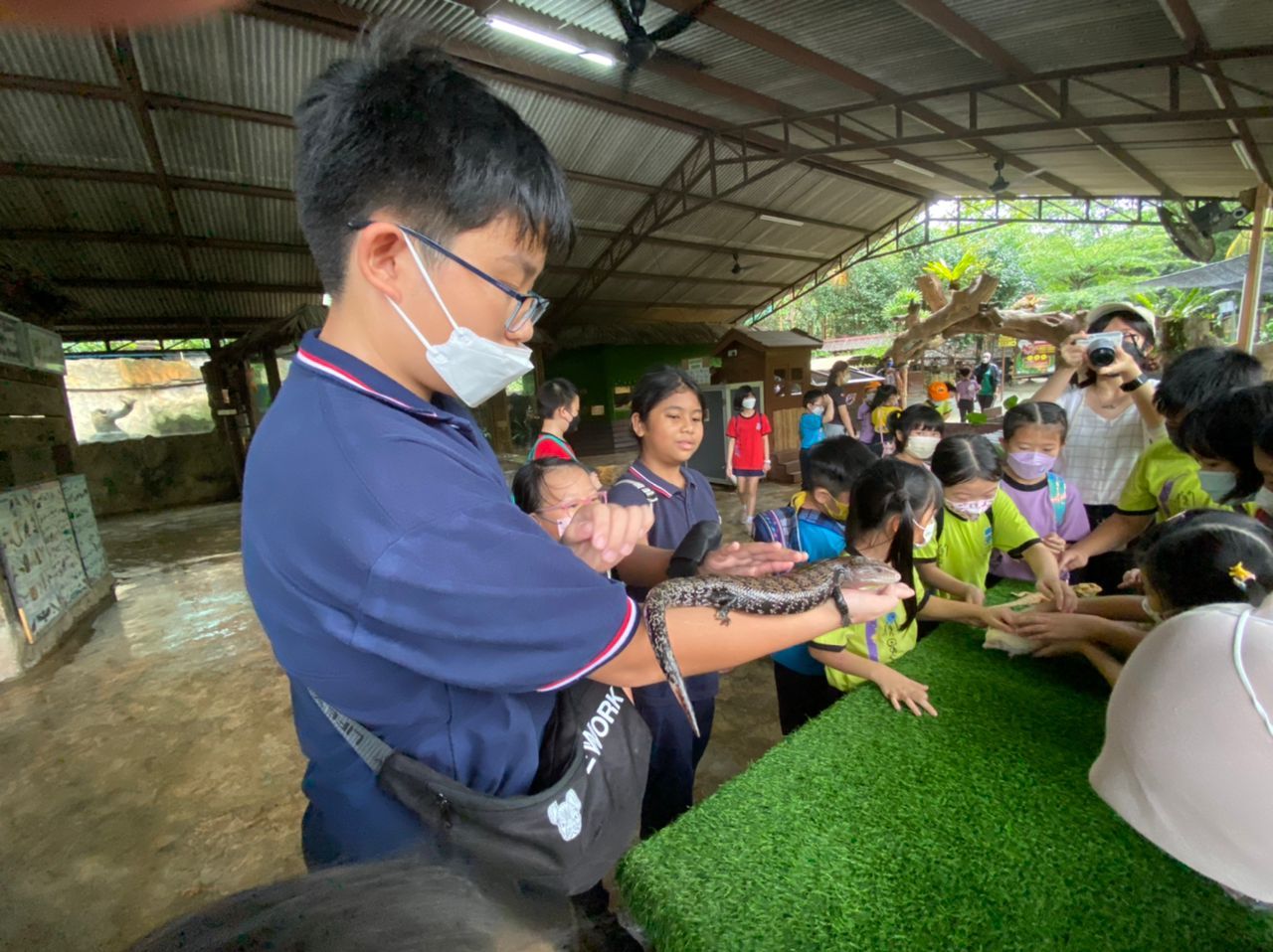 Exciting Day out at the Petting Zoo